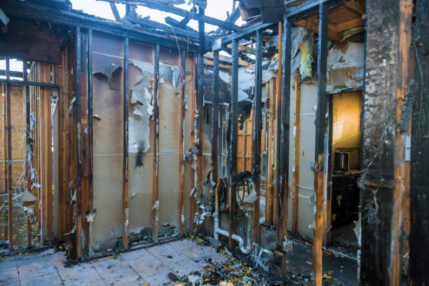 Professional Odor Removal technician working in Rogers, MN