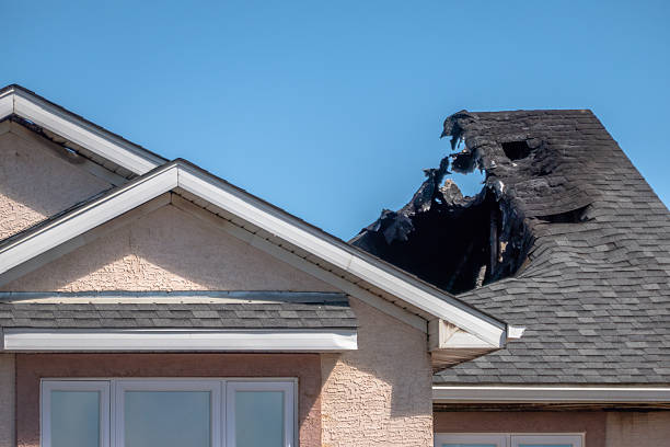 Top rated local Odor Removal specialists in Rogers, MN